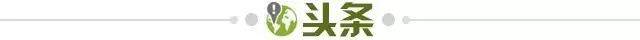 开云体育中国-【早报】图图，欢迎来到英格兰